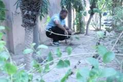 Mission_Haryalee_purumeed4